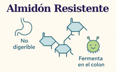 ALMIDÓN RESISTENTE, ¿QUÉ ES?