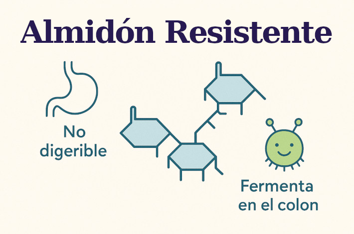 ALMIDÓN RESISTENTE, ¿QUÉ ES?